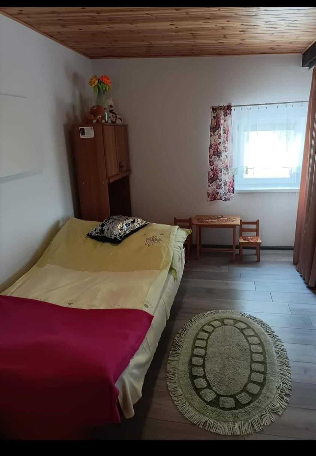 Wczasy Na Kaszubach U Hani Wiele Εξωτερικό φωτογραφία
